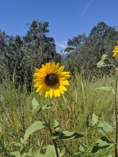 Palmer Park - Colorado Springs, CO