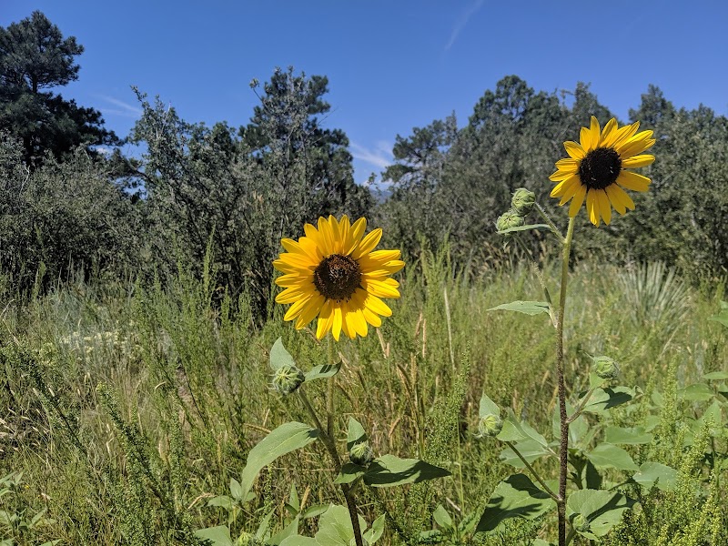 Palmer Park - Colorado Springs, CO