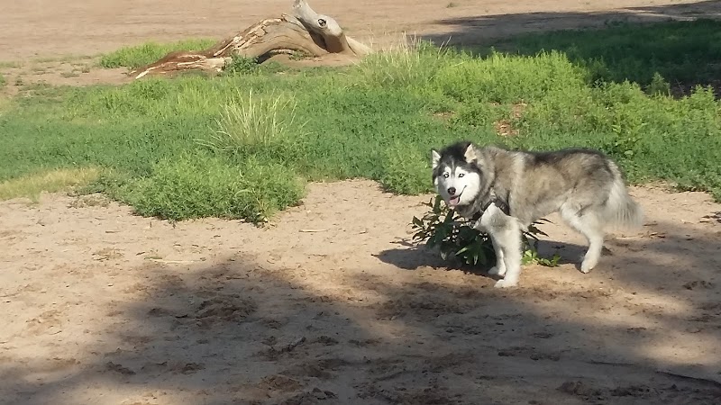 Rampart Dog Park - Colorado Springs, CO