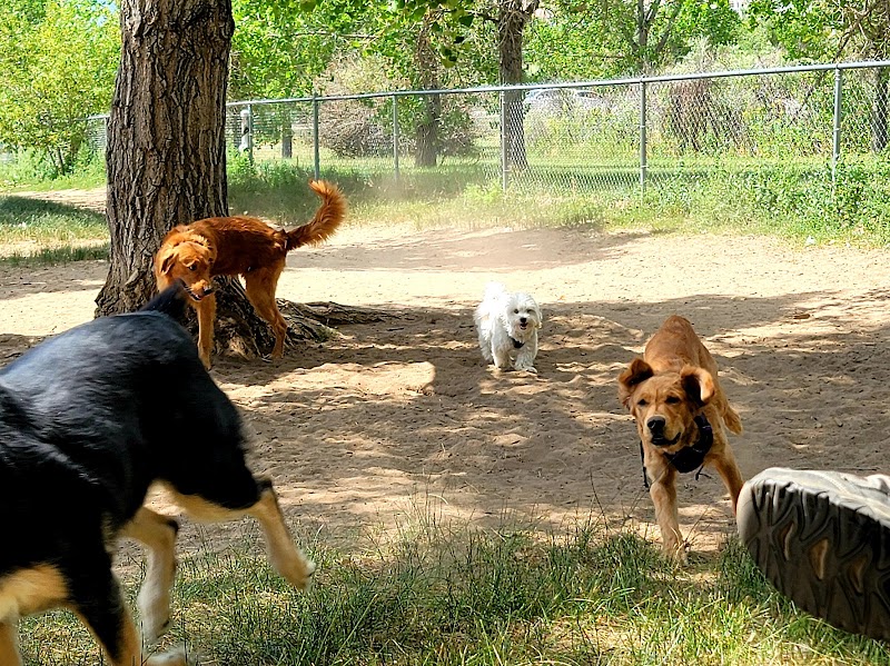 Rampart Dog Park - Colorado Springs, CO