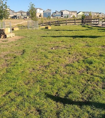 Vista Dog Park - Colorado Springs, CO