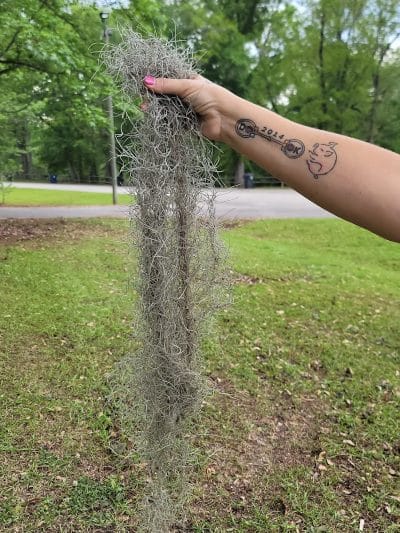 Omussee Creek Park - Columbia, AL