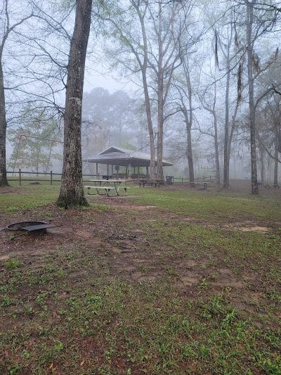 Omussee Creek Park - Columbia, AL