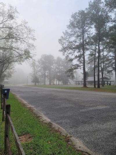 Omussee Creek Park - Columbia, AL