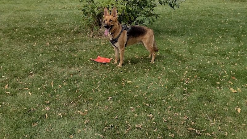 River Run Dog Park - Columbus, WI