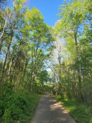 Weddington Road Bark Park
