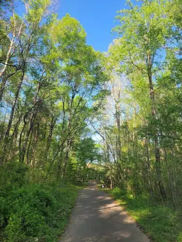 Weddington Road Bark Park