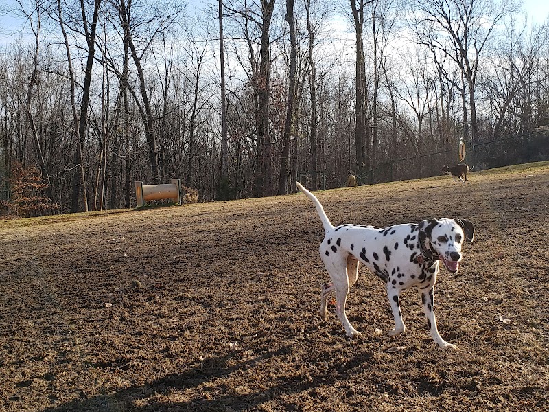 Weddington Road Bark Park