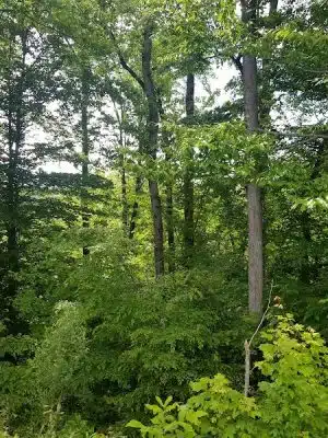 Weddington Road Bark Park