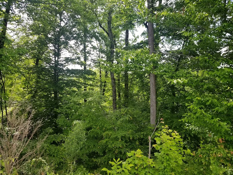 Weddington Road Bark Park