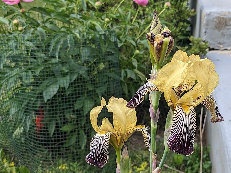 Clarkstown’s K-9 Corrals - Congers, NY