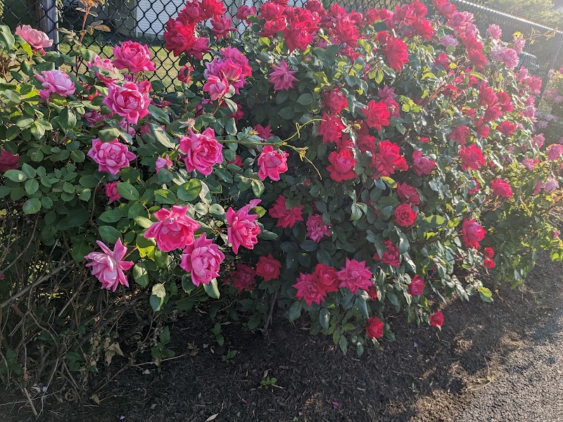 Clarkstown’s K-9 Corrals - Congers, NY