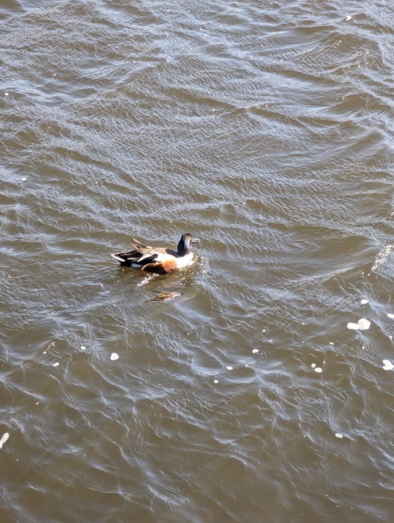 Clarkstown’s K-9 Corrals - Congers, NY