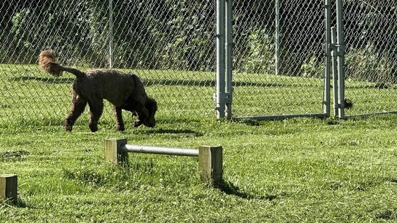 Rotary Dog Park - Corbin, KY