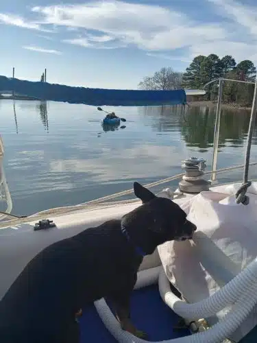 Swaney Pointe K-9 Park