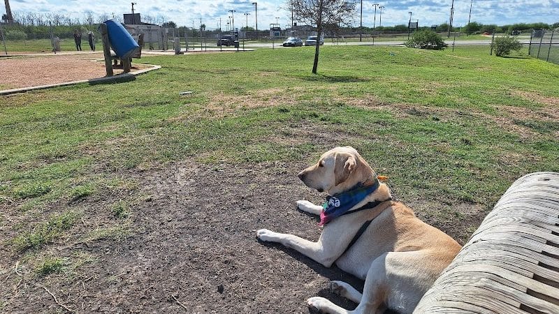 Bill Witt Dog Park - Corpus Christi, TX