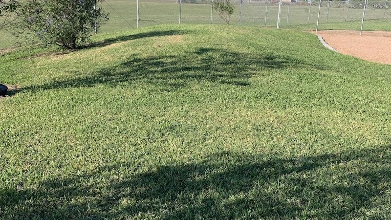 Bill Witt Dog Park - Corpus Christi, TX