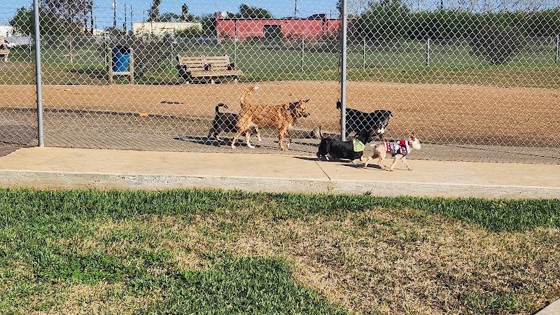 Bill Witt Dog Park - Corpus Christi, TX