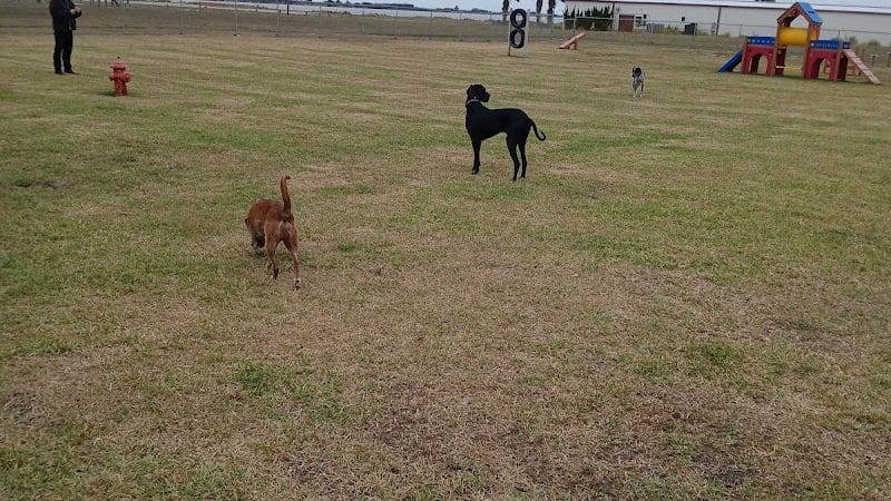 MWR Dog Park - Corpus Christi, TX