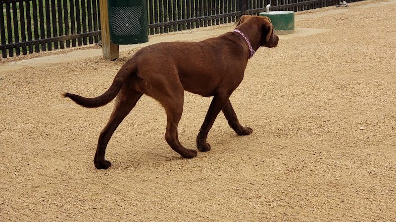 Vishal Bhagat Dog Park - Corpus Christi, TX
