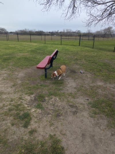 Vishal Bhagat Dog Park - Corpus Christi, TX