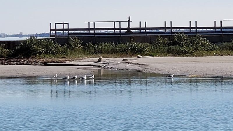 Water's Edge Park - Corpus Christi, TX