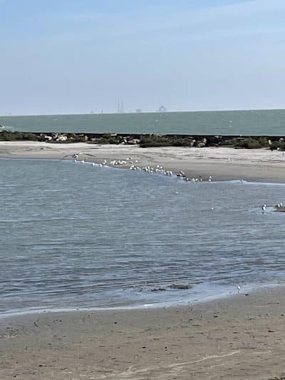 Water's Edge Park - Corpus Christi, TX