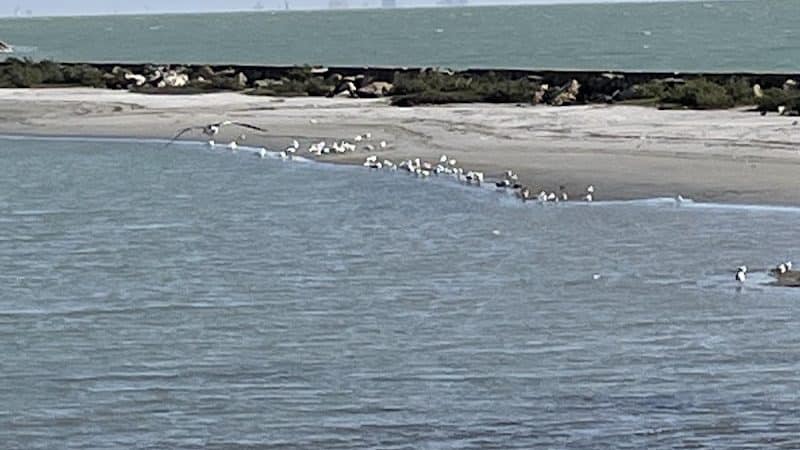 Water's Edge Park - Corpus Christi, TX