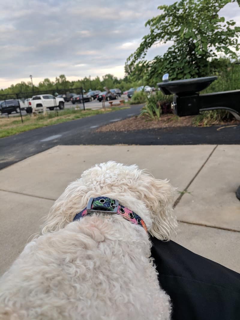 Bark Park - Cottleville, MO