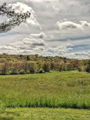 Creaser Park