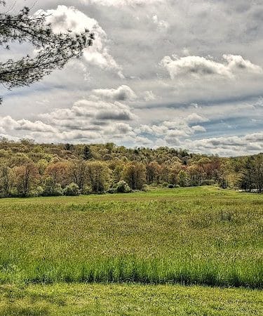 Creaser Park