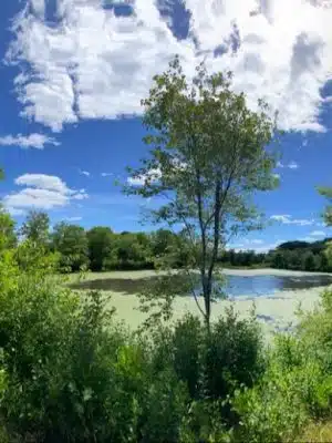 Creaser Park