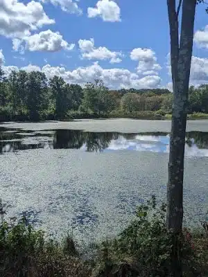 Creaser Park