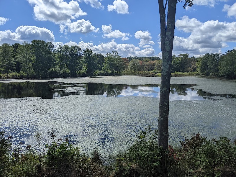 Creaser Park - Coventry, CT