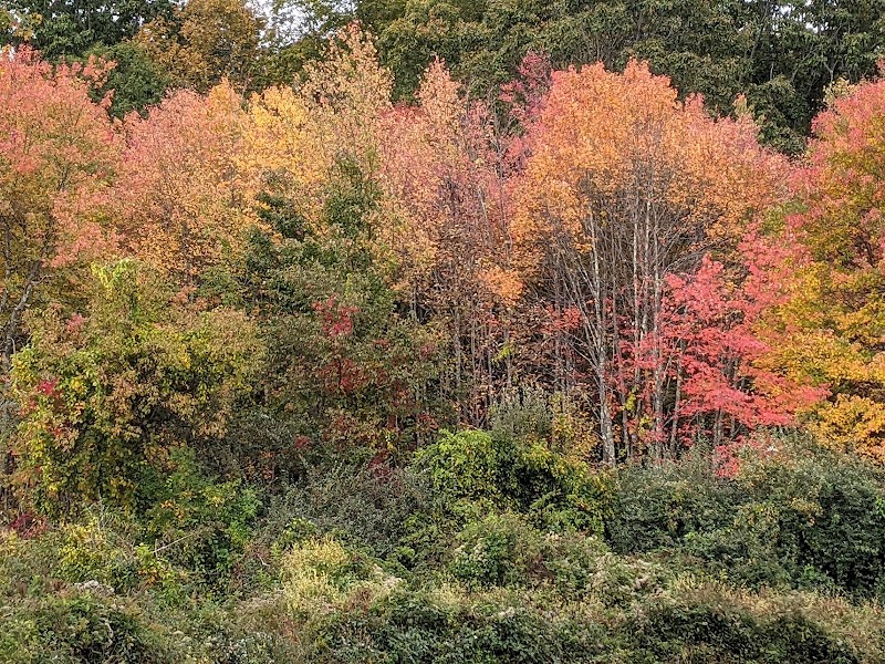 Creaser Park - Coventry, CT