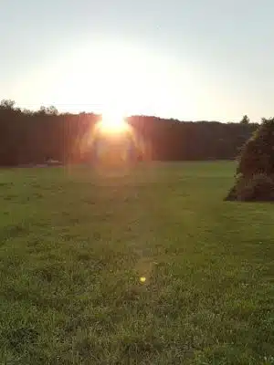 Creaser Park