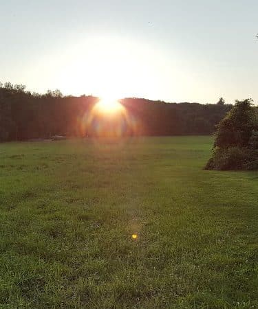 Creaser Park