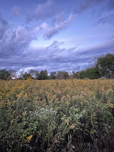 Bulk Farm Nature Center - Cranbury, NJ