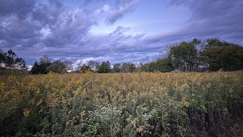 Bulk Farm Nature Center - Cranbury, NJ