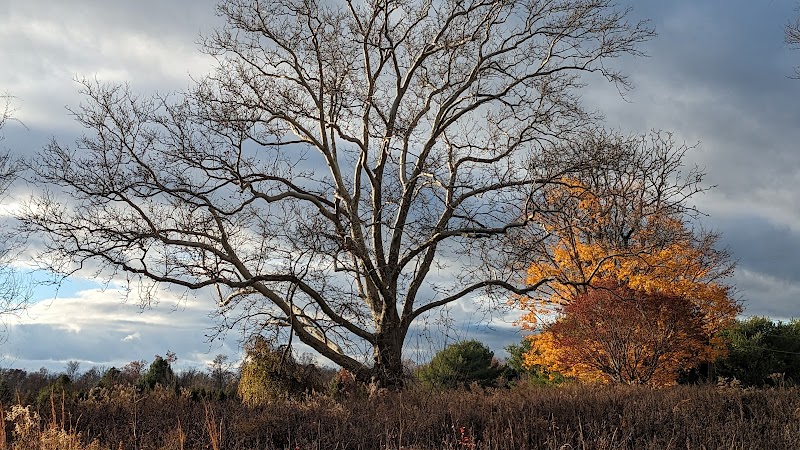 Bulk Farm Nature Center - Cranbury, NJ