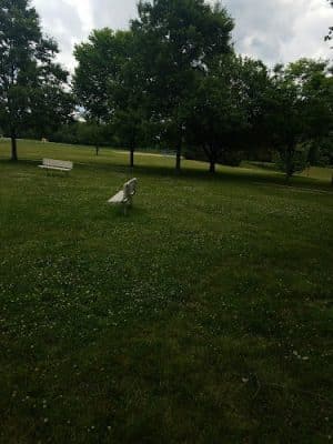 Cranbury-Millstone Park