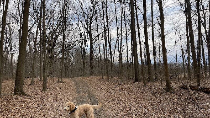 Cromwell Meadows - Cromwell, CT