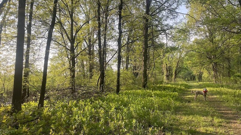 Cromwell Meadows - Cromwell, CT