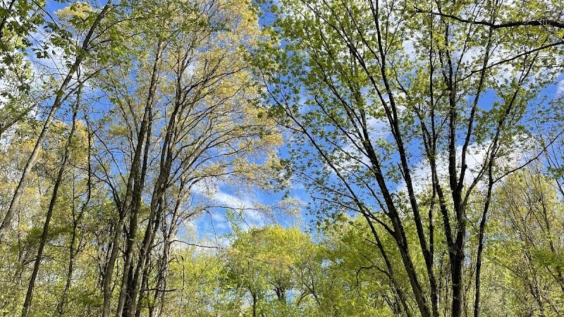 Cromwell Meadows - Cromwell, CT