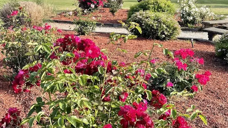 Pierson Park - Cromwell, CT