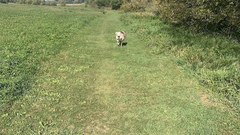 Indian Lake Dog Park - Cross Plains, WI