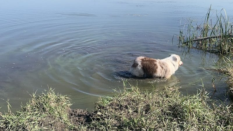 Indian Lake Dog Park - Cross Plains, WI