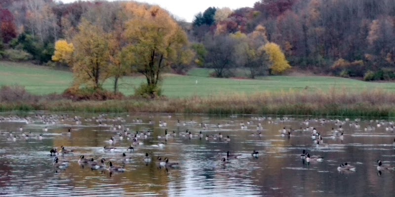 Indian Lake Dog Park - Cross Plains, WI