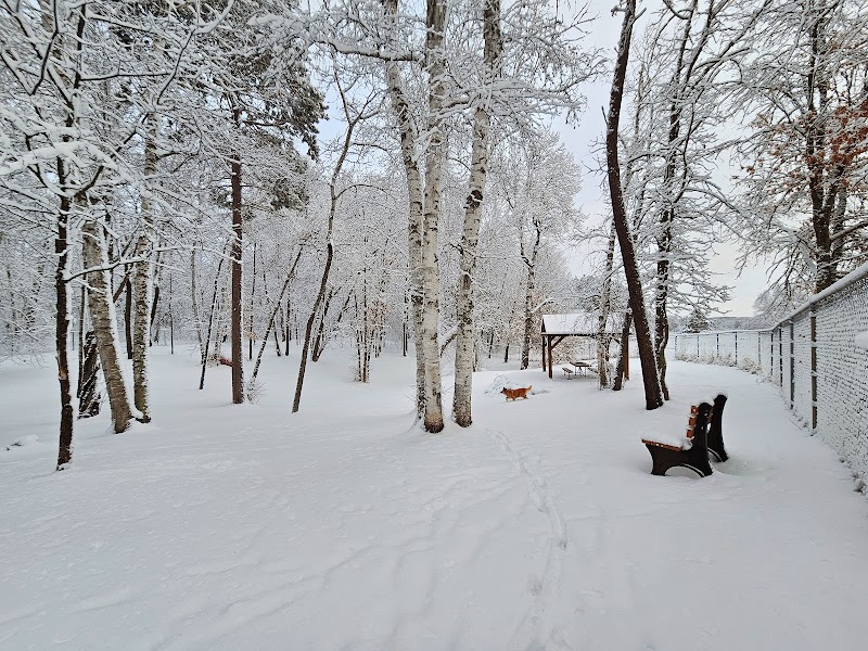 Crosslake Dog Park - Crosslake, MN