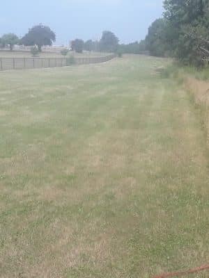 Crown Point Dog Park